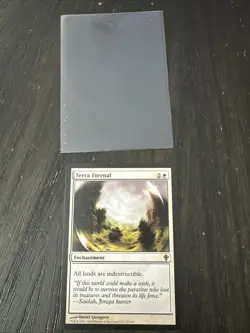 MTG Magic The Gathering Card Terra Eternal Worldwake Regular 22/145 - Image 1