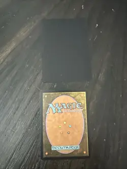 MTG Magic The Gathering Card Terra Eternal Worldwake Regular 22/145 - Image 2