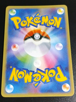 Sonia Full Art Pokemon Bikini Anime Waifu Trainer Art Card Holo ACG DIY - Image 4
