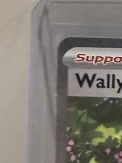 Wally's Compassion - 186/132 - SIR - Mega Evolutions - Pokemon TCG MINT NEW - Image 2