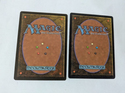 2 Dandan MTG NM Free shipping with tracking - Image 2