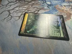 Breeding Pool FOIL Dissension NM Land Rare SIGNED MTG CARD (ID# 505072) - Image 2