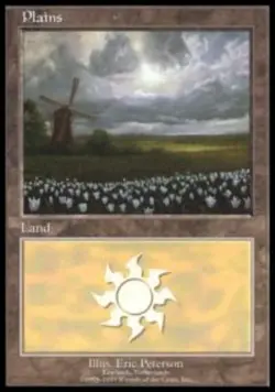1x Plains - Euro Set 2 Promo Light Play, English Unique & Misc Promos MTG Magic - Image 1