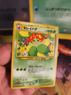 Pokemon Karte Card Blubella Bellossom Information Pack Promo Wotc japanese Exc- - Image 2