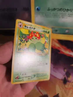 Pokemon Karte Card Blubella Bellossom Information Pack Promo Wotc japanese Exc- - Image 4