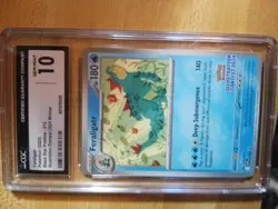 Pokemon TCG Pokemon Day Illustration Contest Promo Card 2025 Series - Image 1