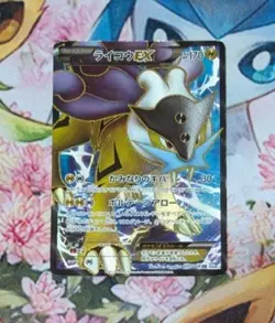 Pokemon card Raikou EX 071/069 SR BW4 1st ED Full Art Dark Rush 2011 Japanese EX - Image 1