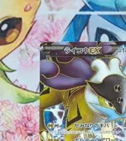 Pokemon card Raikou EX 071/069 SR BW4 1st ED Full Art Dark Rush 2011 Japanese EX - Image 3