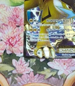 Pokemon card Raikou EX 071/069 SR BW4 1st ED Full Art Dark Rush 2011 Japanese EX - Image 5