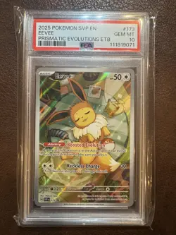 2025 POKEMON SVP EN-SV BLACK STAR PROMO #173 EEVEE PSA 10 - Image 1