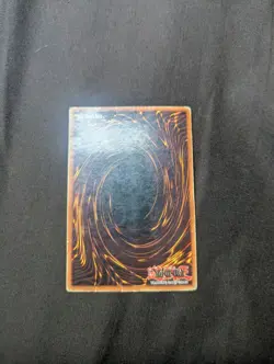 Blue-Eyes White Dragon SDK-001 Starter Deck Kaiba MP Yu-Gi-Oh - Image 3