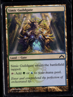 Simic Guildgate 246/249 Common Gatecrash Magic The Gathering Near Mint - Image 1