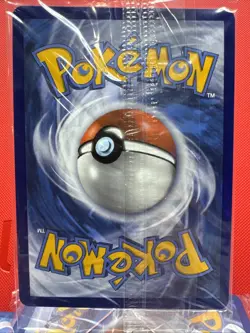 Eevee VMAX SWSH087 SEALED Shining Fates Black Star Promo Card Pokemon TCG - Image 4