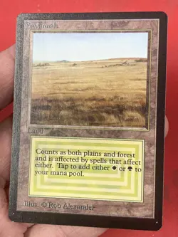 ***Beta Savannah (Dark Ink Saturation on Front Misprint)*** MTG Magic Kid Icarus - Image 4