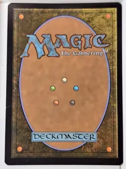 Plains - FOIL - Standard Showdown Promo - Magic the Gathering MTG Nice! - Image 2