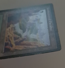 Undiscovered Paradise HP MTG Magic the Gathering Visions Reserved List - Image 3