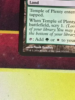 C6460 MTG MAGIC DIVINE REFLECTION 18 TEMPLE OF PLENTY 165 LP RARE - Image 5