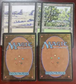 6 BASIC LAND Arena League 1996 Promo mtg DAMAGED Swamp Island Forest Plains - Image 2