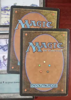 6 BASIC LAND Arena League 1996 Promo mtg DAMAGED Swamp Island Forest Plains - Image 4