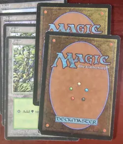 6 BASIC LAND Arena League 1996 Promo mtg DAMAGED Swamp Island Forest Plains - Image 5