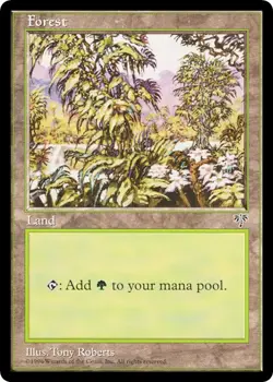 100 Basic Land ~ MIRAGE ~ mtg 1996 Vintage Mana ALL 20 Variants (5 each) - Image 5