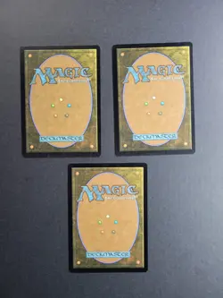 Plains 235 (Borderless) Magic The Gathering Unfinity Regular Land NM x3 - Image 3