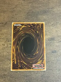 Yugioh Dark Paladin DMG-001 Secret Rare Duel Masters Guide Limited Edition (NM) - Image 2