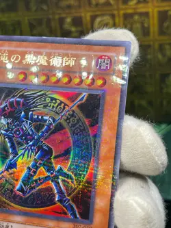 Yugioh OCG Dark Magician of Chaos 307-010 Ultra Parallel Rare japanese - Image 4