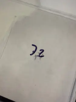 Magic The Gathering: Beta White Ward MTG Beta - Image 3