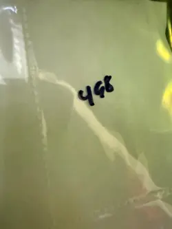 Magic the Gathering: Beta White Ward MTG Beta - Image 3