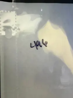 Magic the Gathering: Beta White Ward MTG Beta - Image 3