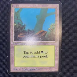 English - MTG Forest - LP/MP - Limited Edition Alpha - Image 1