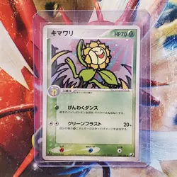 Arcanine + Sunflora + Beedrill + Cradily - Japanese Pokemon Card Lot #743 - Image 4