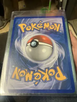 Zorua and Celebi Black and White 2011 Promo jumbo card Pokemon NM-M - Image 2