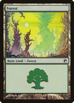 12x FOREST basic lands (mixed art) - LP - Scars of Mirrodin / Mirrodin Besieged - Image 1