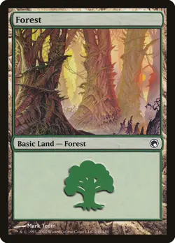 12x FOREST basic lands (mixed art) - LP - Scars of Mirrodin / Mirrodin Besieged - Image 4