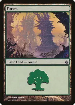 12x FOREST basic lands (mixed art) - LP - Scars of Mirrodin / Mirrodin Besieged - Image 5
