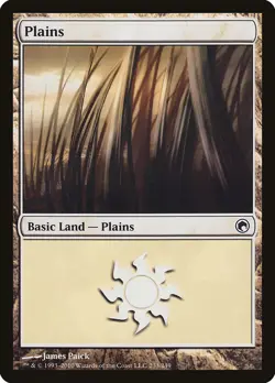12x PLAINS basic lands (mixed art) - LP - Scars of Mirrodin / Mirrodin Besieged - Image 4