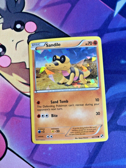 SANDILE - 63/114 [BW promo] Pokemon TCG - CRACKED ICE HOLO PROMO - VLP - Image 1