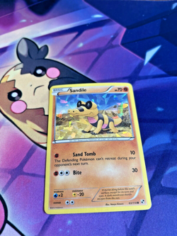 SANDILE - 63/114 [BW promo] Pokemon TCG - CRACKED ICE HOLO PROMO - VLP - Image 3
