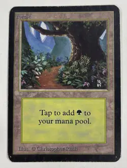 Forest (B) Path Alpha MP Moderate Play MTG Magic The Gathering 1.3 - Image 1