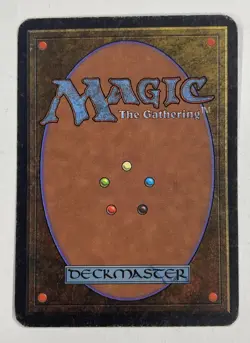 Forest (B) Path Alpha MP Moderate Play MTG Magic The Gathering 1.3 - Image 2