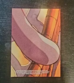 1999 Topps Pokemon Movie Sticker Charizard #8 NM - Image 2