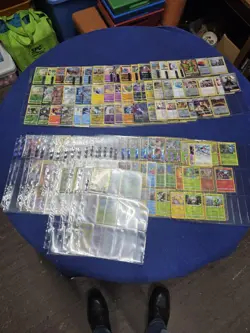 Over 250 pokemon cards in this collection.. You're gained by loss.. - Image 2