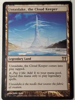 Untaidake, the Cloud Keeper - Champions of Kamigawa - Magic the Gathering MTG - Image 1