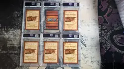 One Piece CHB Japanese Holo PSA Lot Of 6 Cards For leand_7247 - Image 4