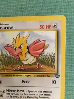 1st Edition Spearow 62/64 Jungle Set - Common Pokemon Card - Image 2