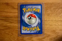 Poochyena 64/109 EX Ruby & Sapphire Reverse Holo Common - Vintage Pokemon Card - Image 2