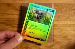 Poochyena 64/109 EX Ruby & Sapphire Reverse Holo Common - Vintage Pokemon Card - Image 3