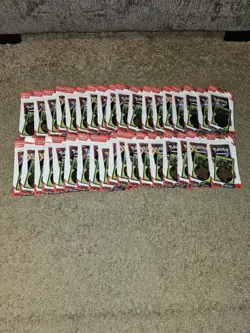 Lot of 36 Pokemon TCG Destined Rivals Checklane Blister Pack Zarude Promo - Image 1